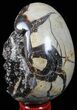 Septarian Dragon Egg Geode - Black Crystals #57391-2